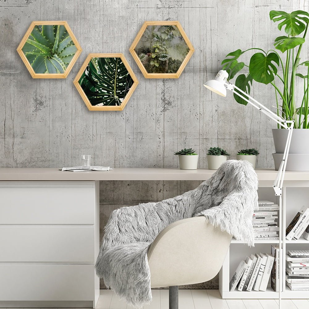 PINE BOXED CANVAS HEXAGONAL 3PCE COLLAGE SUCCULANTS & LEAVES