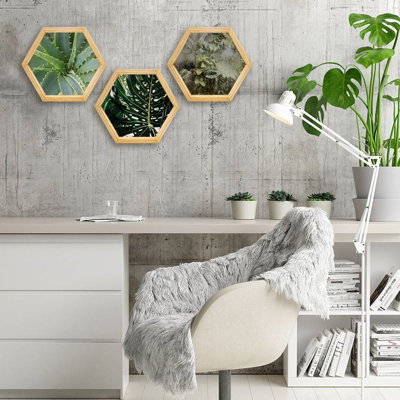 PINE BOXED CANVAS HEXAGONAL 3PCE COLLAGE SUCCULANTS & LEAVES