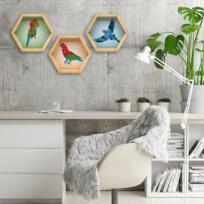 PINE BOXED CANVAS HEXAGONAL 3PCE COLLAGE MACAW