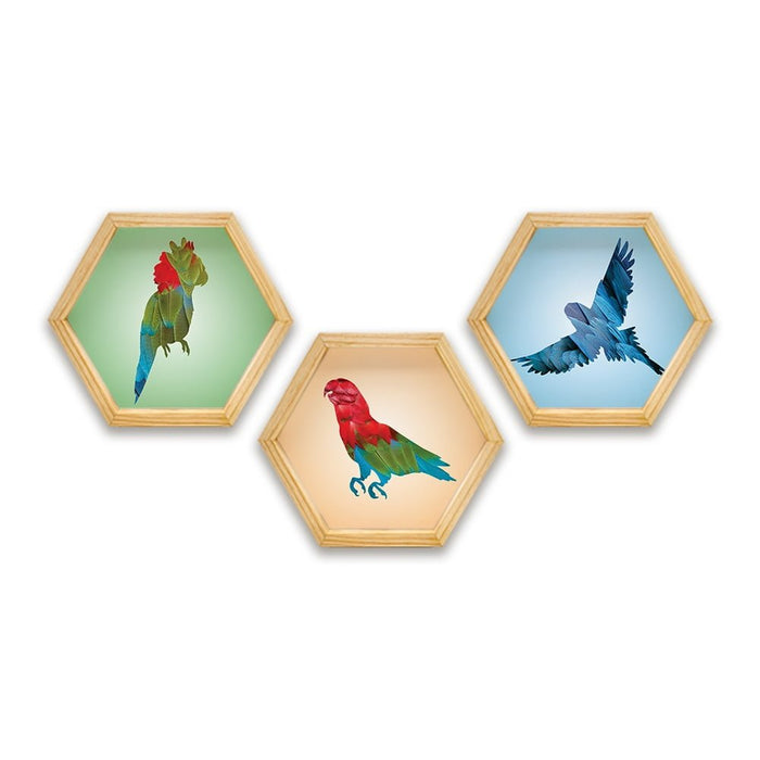 PINE BOXED CANVAS HEXAGONAL 3PCE COLLAGE MACAW