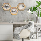 PINE BOXED CANVAS HEXAGONAL 3PCE COLLAGE ZEBRAS