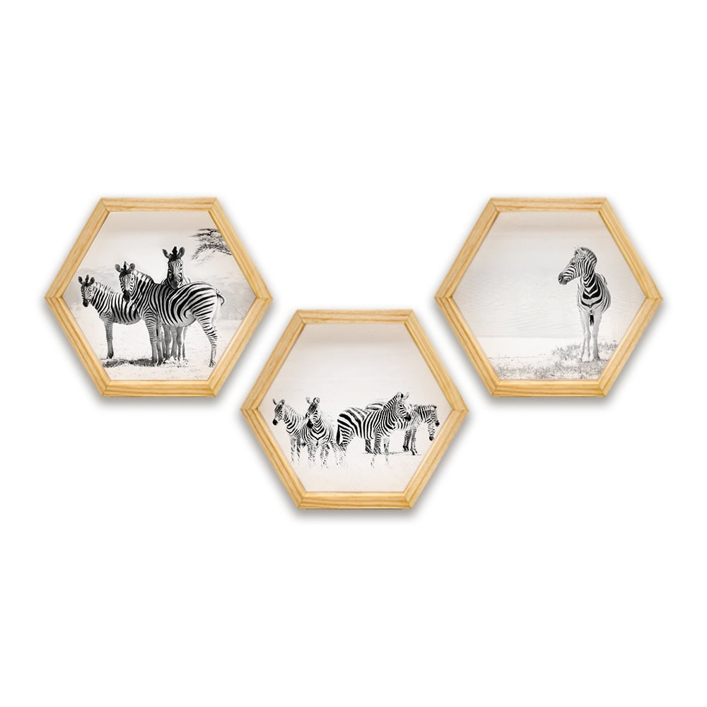 PINE BOXED CANVAS HEXAGONAL 3PCE COLLAGE ZEBRAS