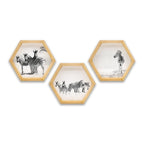 PINE BOXED CANVAS HEXAGONAL 3PCE COLLAGE ZEBRAS