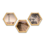 PINE BOXED CANVAS HEXAGONAL 3PCE COLLAGE KAROO-SCENE