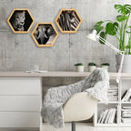 PINE BOXED CANVAS HEXAGONAL 3PCE COLLAGE AFRICAN-ANIMALS