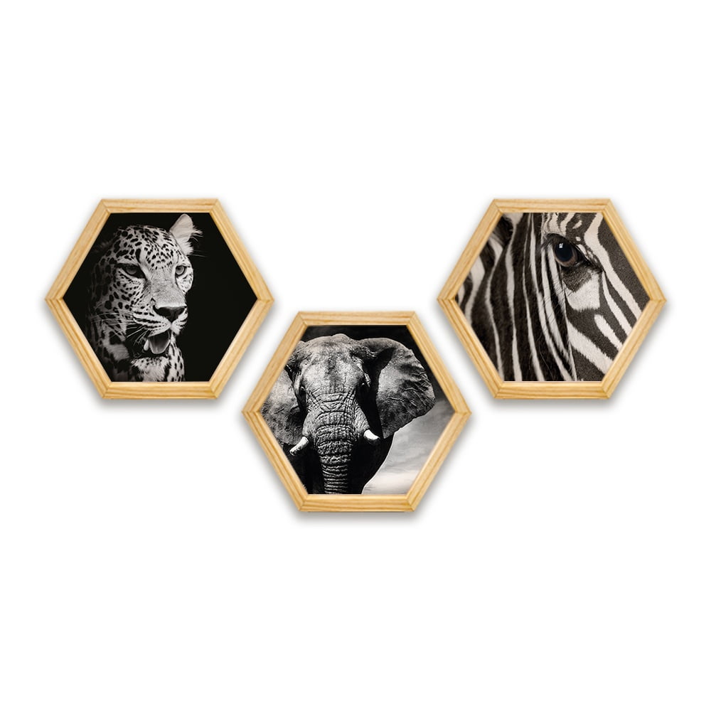 PINE BOXED CANVAS HEXAGONAL 3PCE COLLAGE AFRICAN-ANIMALS