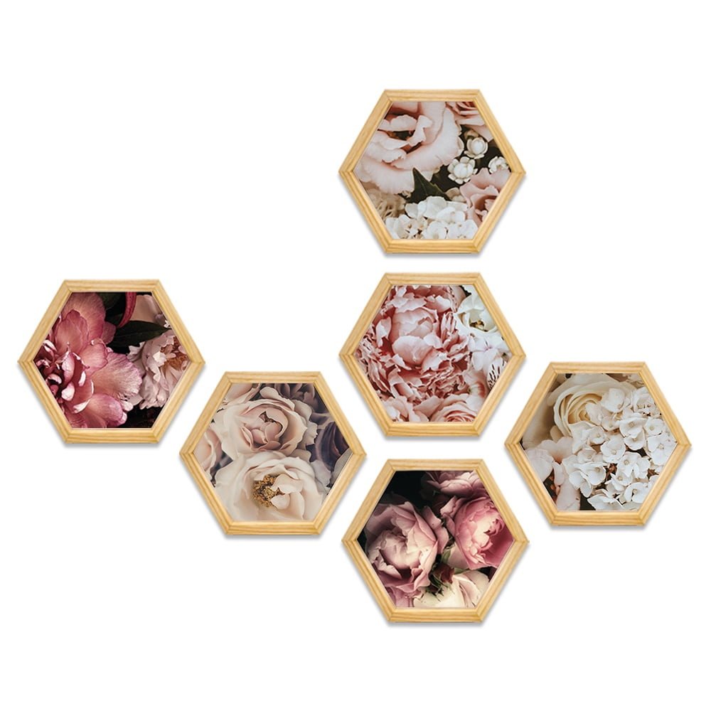 PINE BOXED CANVAS HEXAGONAL 6PCE COLLAGE PINK PEONIE FLORALS