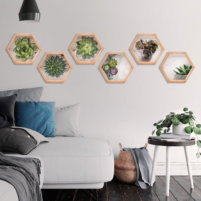 PINE BOXED CANVAS HEXAGONAL 6PCE COLLAGE SUCCULENT SELECTION