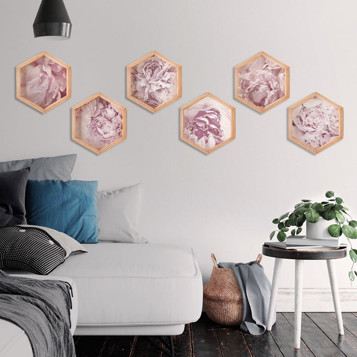 PINE BOXED CANVAS HEXAGONAL 6PCE COLLAGE ROSES