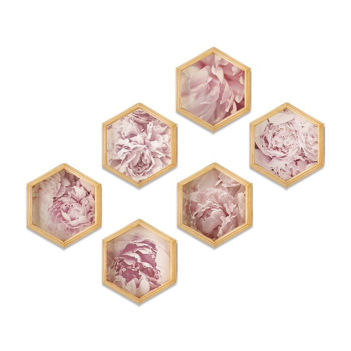 PINE BOXED CANVAS HEXAGONAL 6PCE COLLAGE ROSES