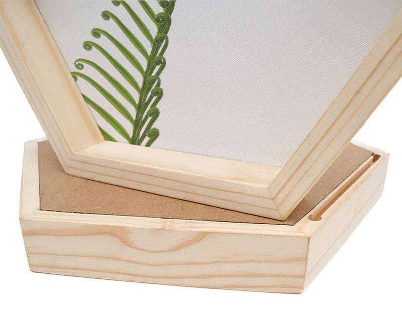 PINE BOXED CANVAS HEXAGONAL 6PCE COLLAGE LEAFY GREEN SELECTION