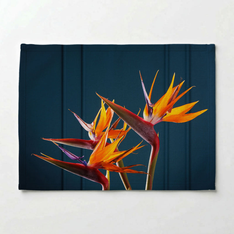 STRELITZIA TRIO ON RICH BLUE PLACEMAT