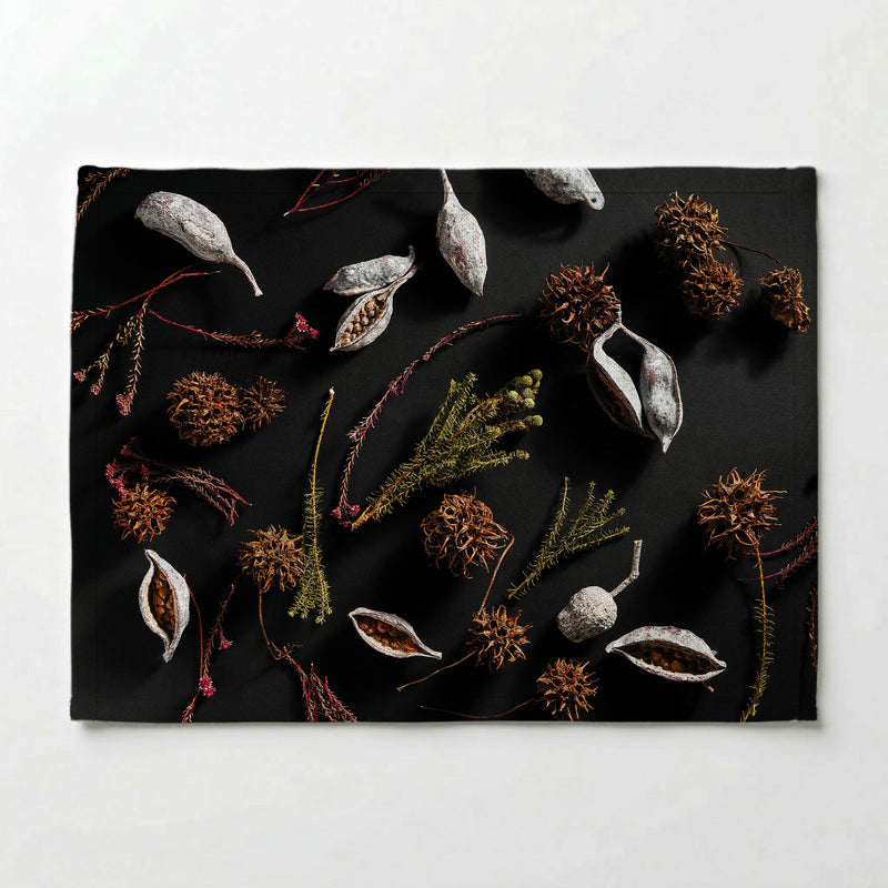 DRIED PODS, SPRIGS, AND SEEDS ON BLACK PLACEMAT