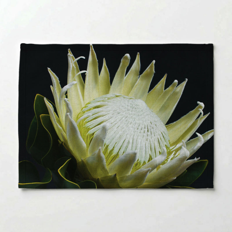 MIDNIGHT WHITE PROTEA UP CLOSE PLACEMAT
