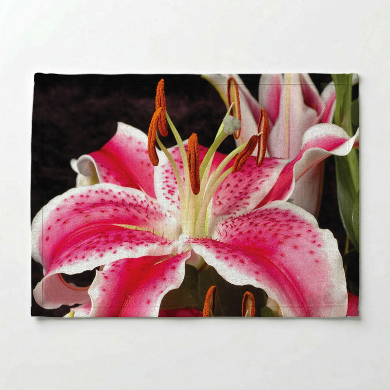 PINK BURST PLACEMAT