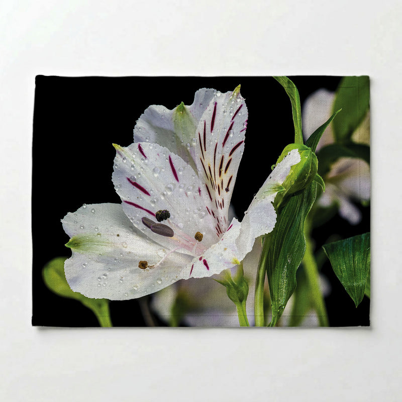 INCA TRIO PLACEMAT