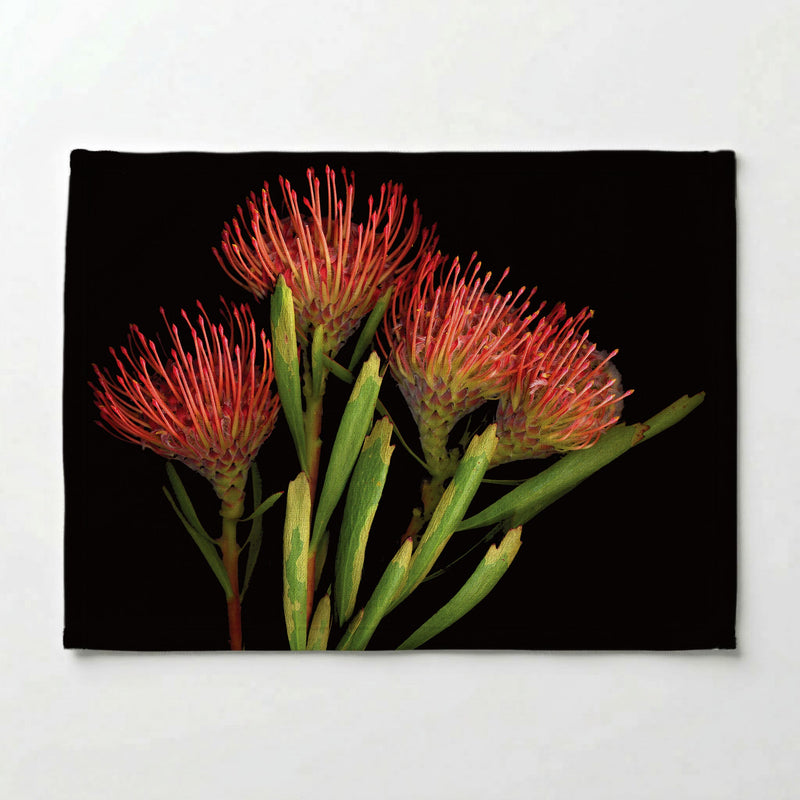 FIREWORK PINCUSHION PLACEMAT