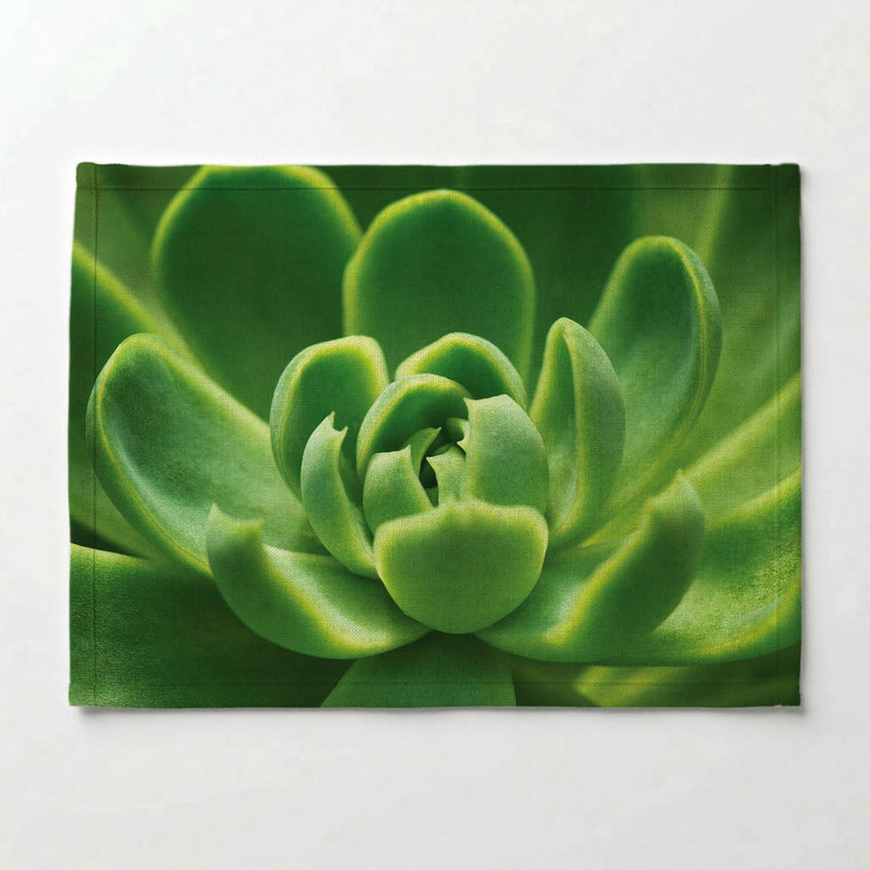 GREEN CORE SUCCULENT PLACEMAT