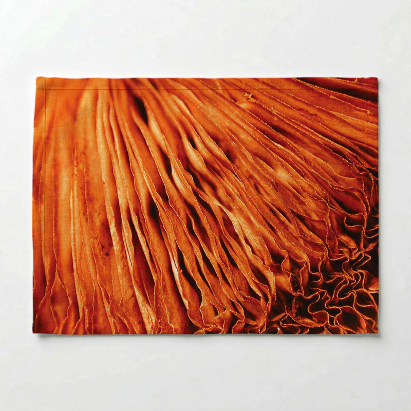 MACRO MUSHROOM PLACEMAT