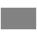 MICROFIBER PET TOWEL BONES