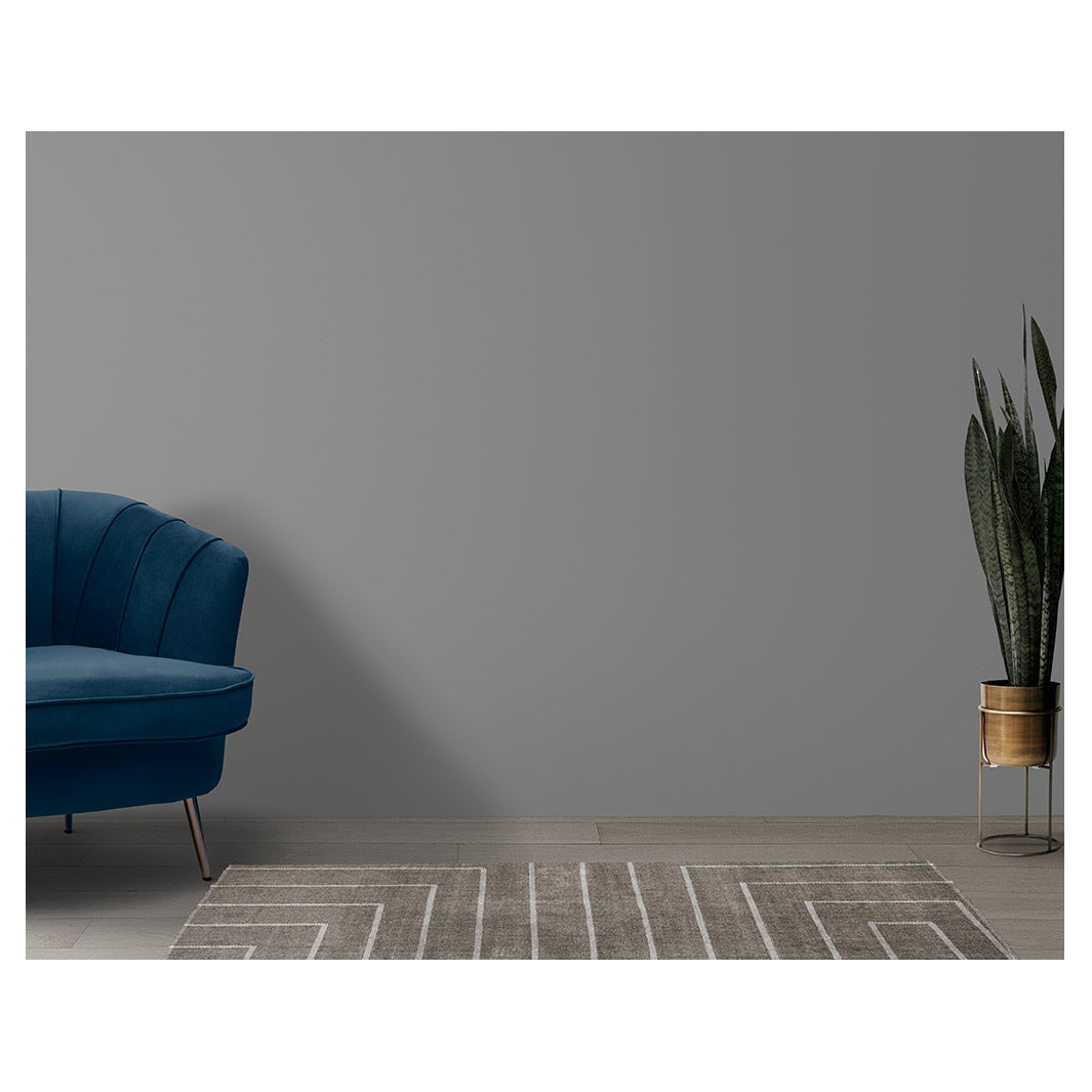 CONTEMPORARY BEIGE MINIMALISTIC LINE RUNNER RUG