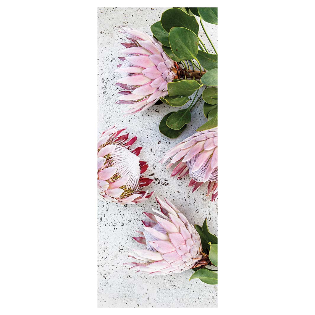 FLORAL PINK PROTEAS ON WHITE ROOM DIVIDER — Cape Rug, Home & Art