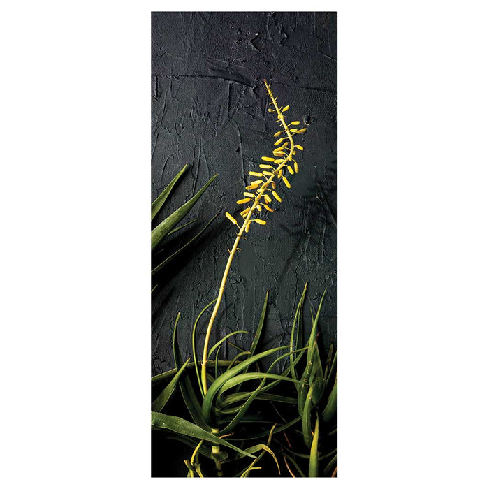 NATURAL YELLOW BLOSSOMS ALOE BUSH ON GREY ROOM DIVIDER