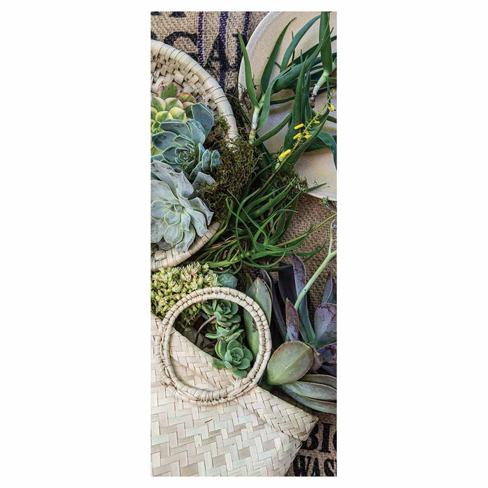 NATURAL GREEN ALOE BOUQUET IN BASKET ON HESSIAN ROOM DIVIDER