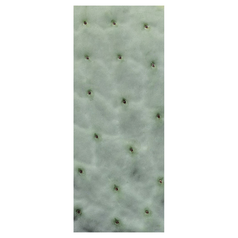 NATURAL GREEN PRICKLY PEAR LEAF ROOM DIVIDER