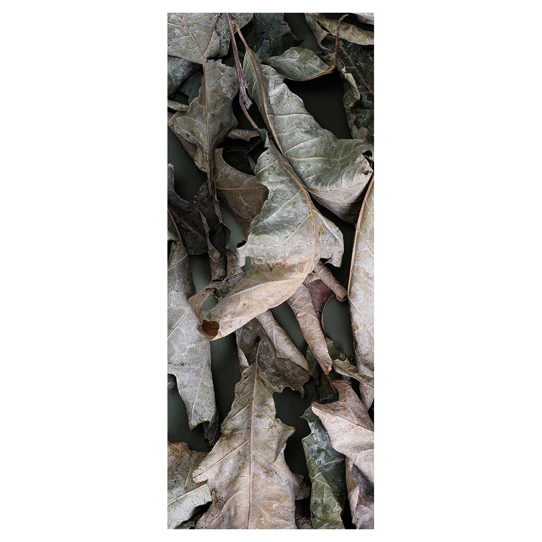 MONOCHROMATIC GREY GREEN LEAVES ROOM DIVIDER