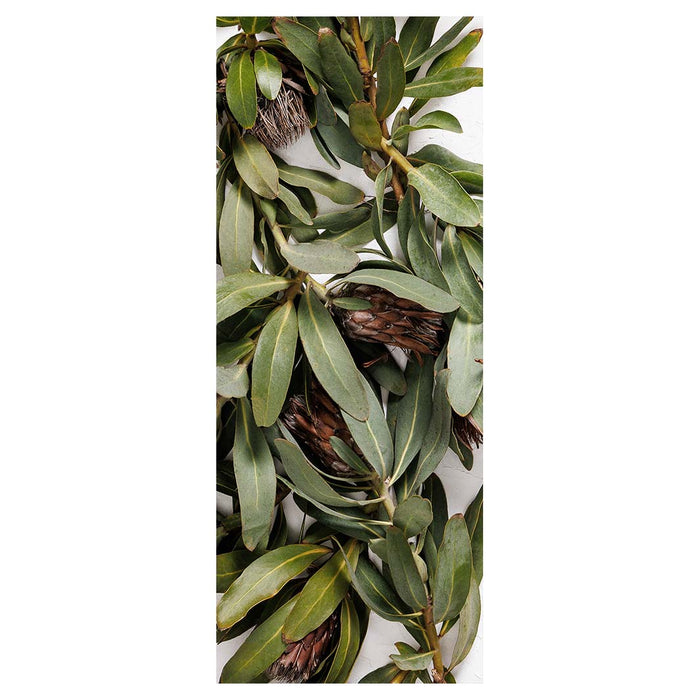 DRIED PROTEA WITH GREEN LEAVES ROOM DIVIDER