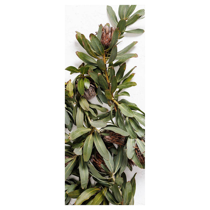 DRIED PROTEA WITH GREEN LEAVES ROOM DIVIDER