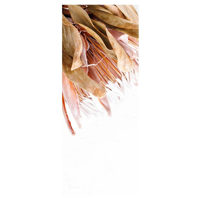 DRIED PINK PROTEA ROOM DIVIDER