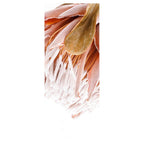 DRIED PINK PROTEA ROOM DIVIDER