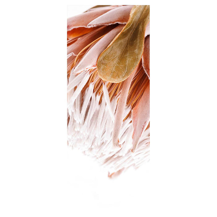 DRIED PINK PROTEA ROOM DIVIDER