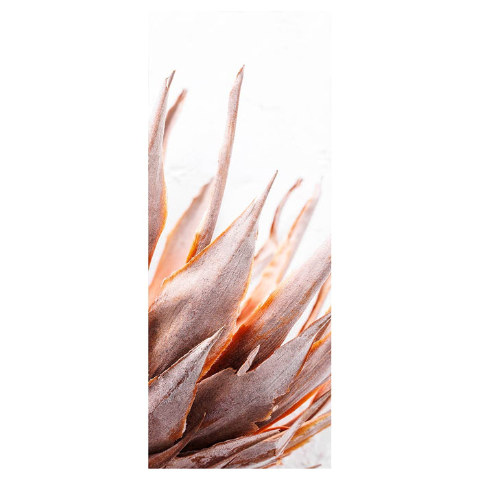 DRIED PINK PROTEA ROOM DIVIDER