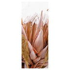 DRIED PINK PROTEA ROOM DIVIDER