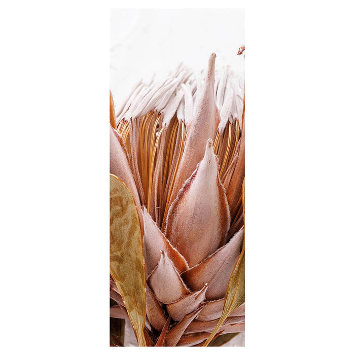 DRIED PINK PROTEA ROOM DIVIDER