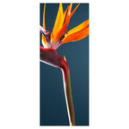 STRELITZIA ON DARK BLUE ROOM DIVIDER
