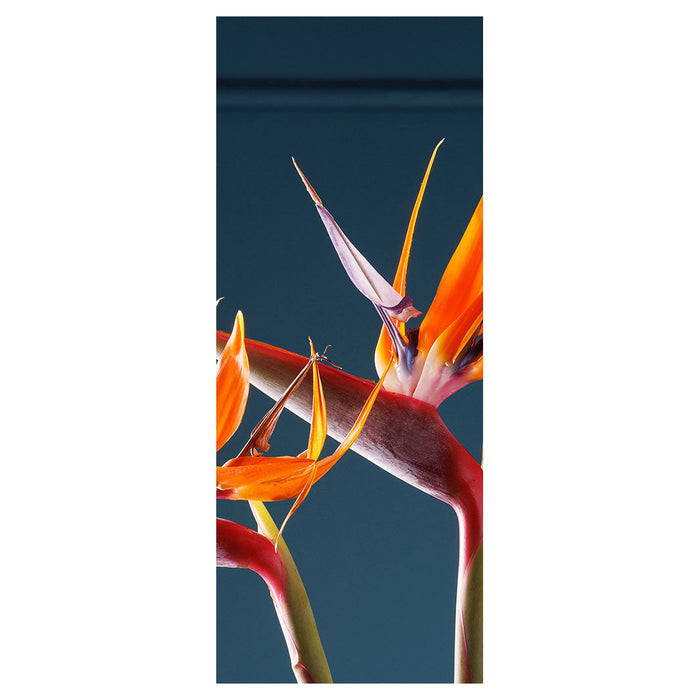 STRELITZIA ON DARK BLUE ROOM DIVIDER