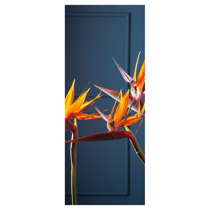 STRELITZIA ON DARK BLUE ROOM DIVIDER