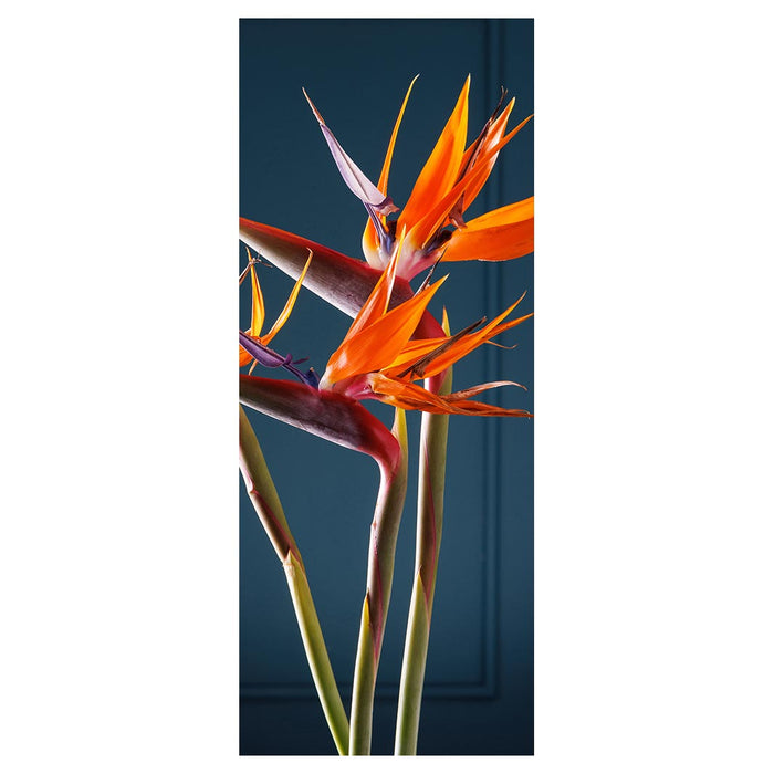 STRELITZIA ON DARK BLUE ROOM DIVIDER