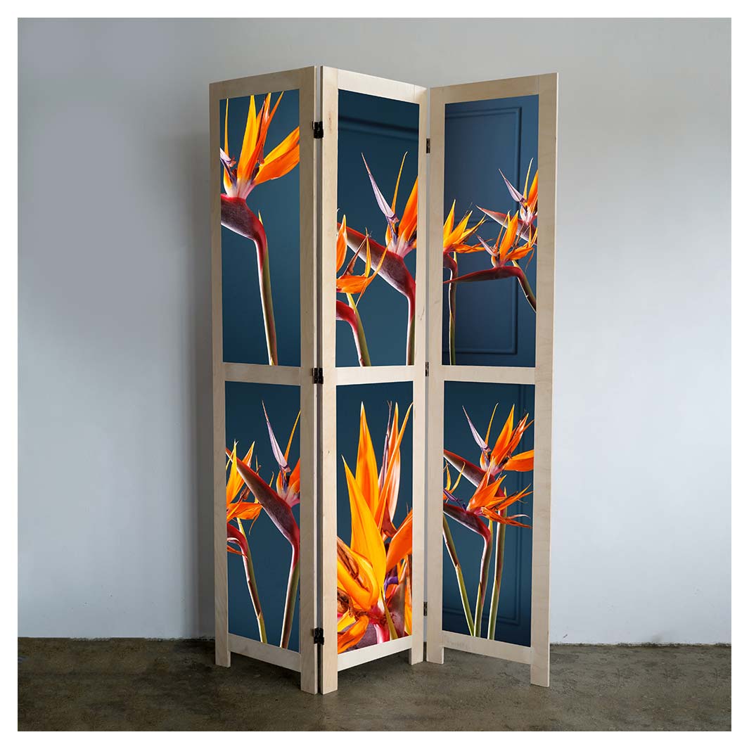 STRELITZIA ON DARK BLUE ROOM DIVIDER — Cape Rug, Home & Art