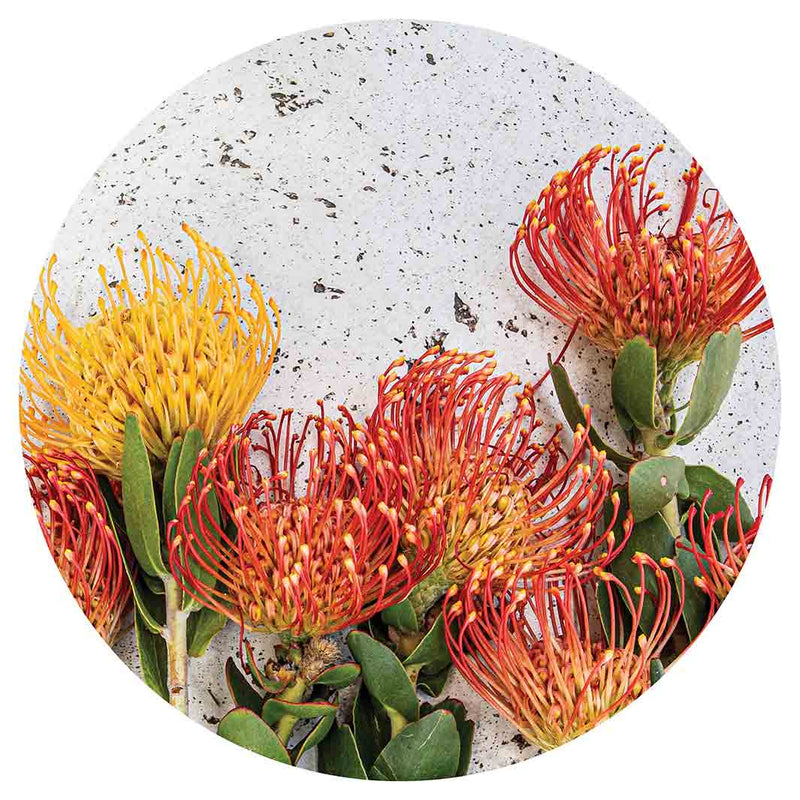 FLORAL ORANGE PIN CUSHIONS ON WHITE LAZY SUSAN