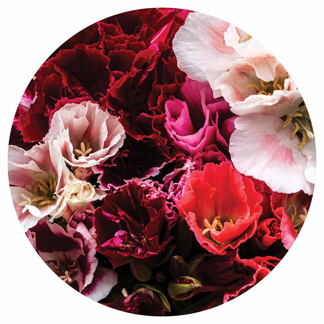 FLORAL PINK AND RED LISIANTHUS FLOWER MIX CHEESEBOARD