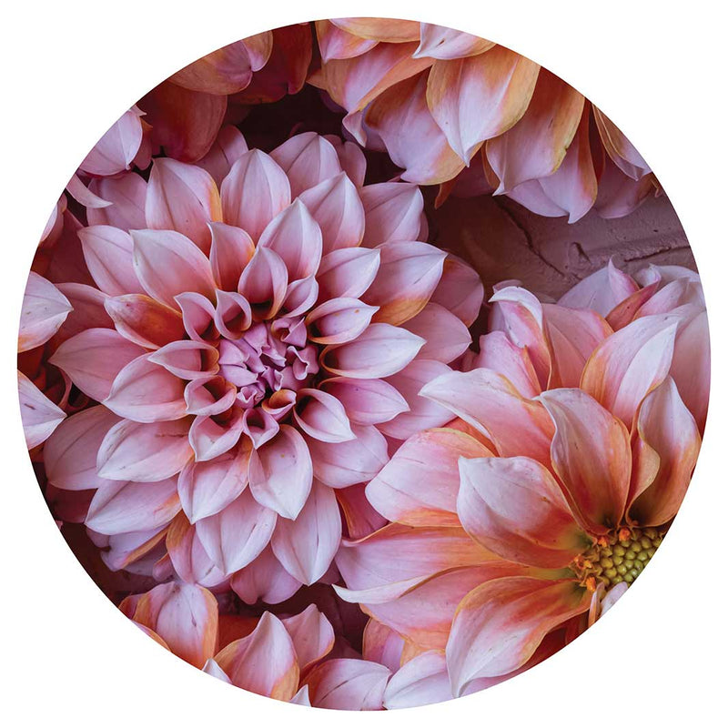 FLORAL PINK AND ORANGE DAHLIA FLOWERS CHEESEBOARD