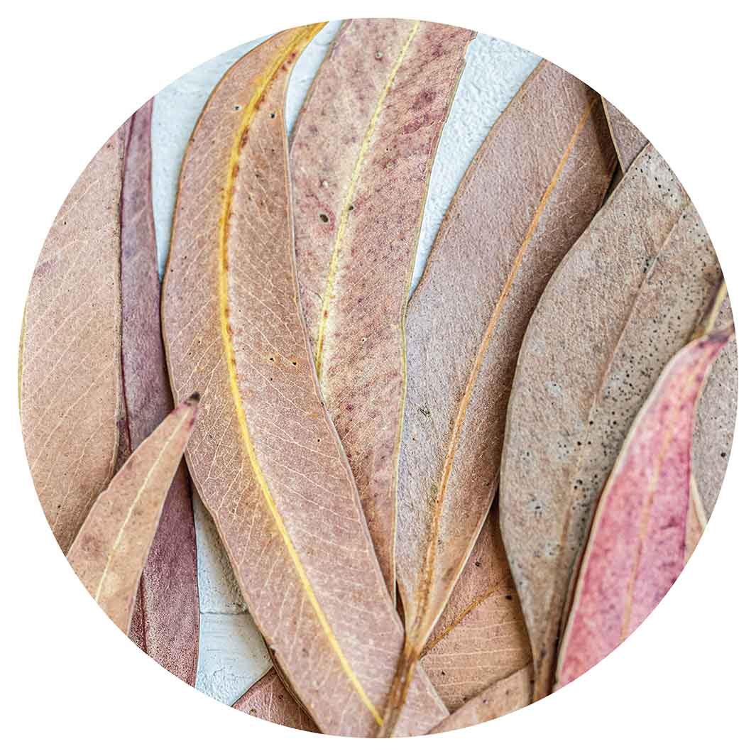 LEAVES PINK DRIED LEAVES CHEESEBOARD