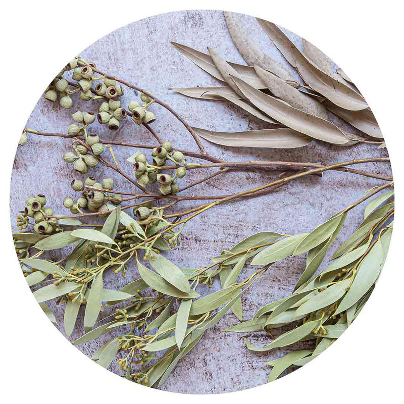 LEAVES BROWN NATURAL AMBERNUTS WITH GREEN FOLIAGE LAZY SUSAN