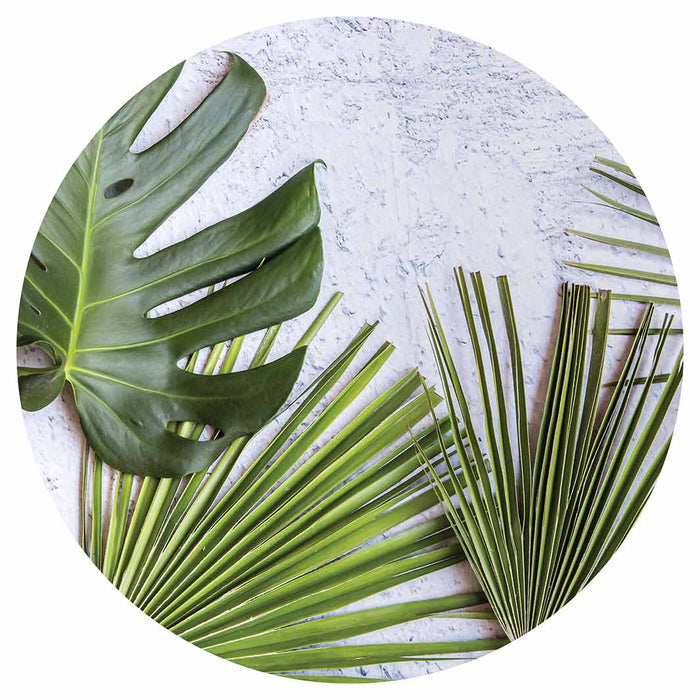 LEAVES GREEN PALM LEAVES ON WHITE SERVING BOARD