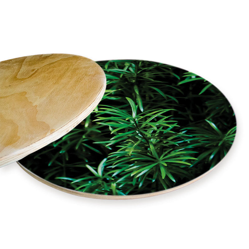 LEAVES GREEN TREE CHEESEBOARD